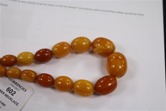 A single strand graduated oval amber necklace with gilt metal clasp, 42cm.